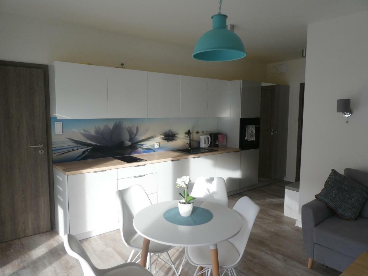 Apartament Nika Pool&Spa 5Morz シャノジェンティ エクステリア 写真