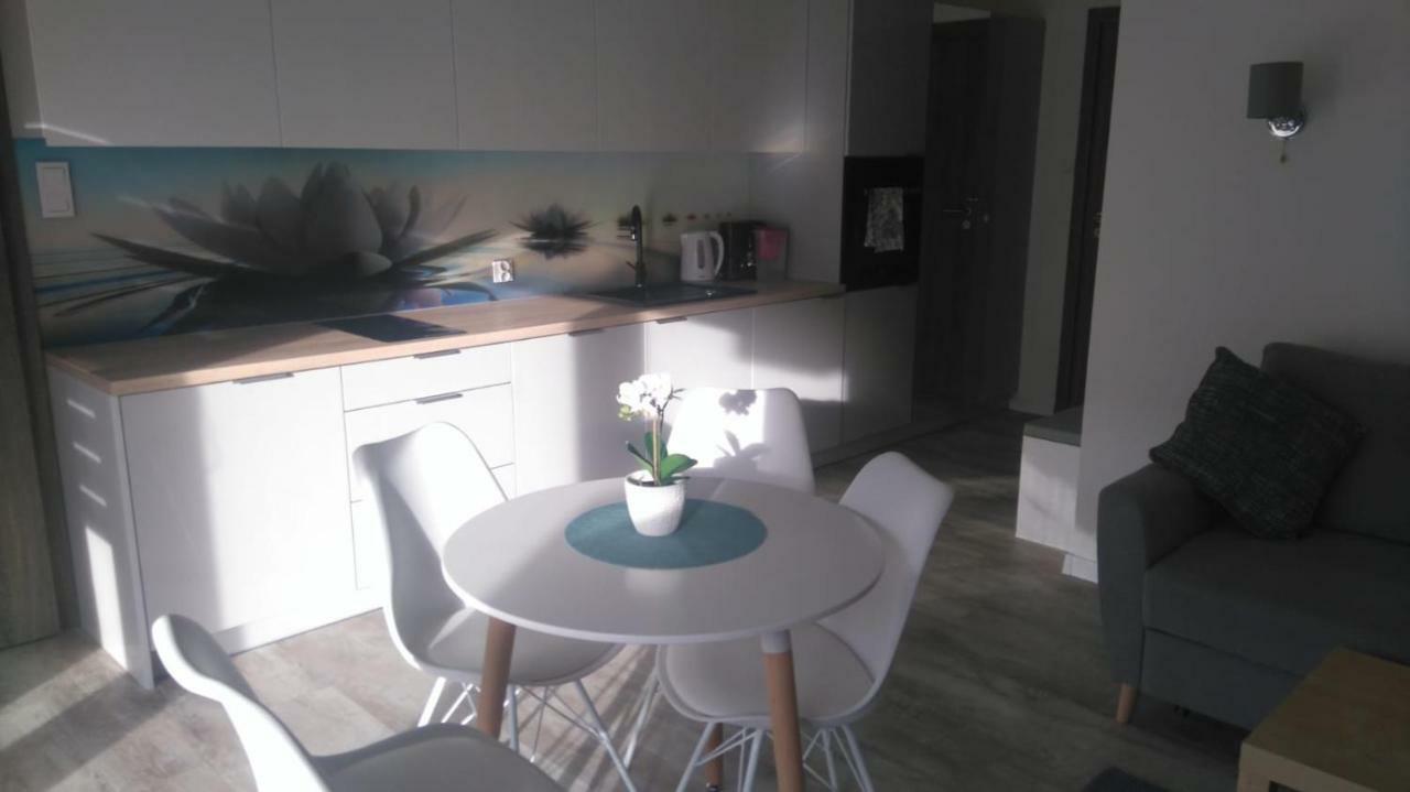 Apartament Nika Pool&Spa 5Morz シャノジェンティ エクステリア 写真
