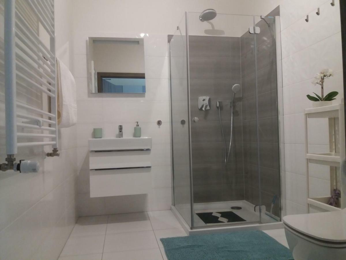 Apartament Nika Pool&Spa 5Morz シャノジェンティ エクステリア 写真